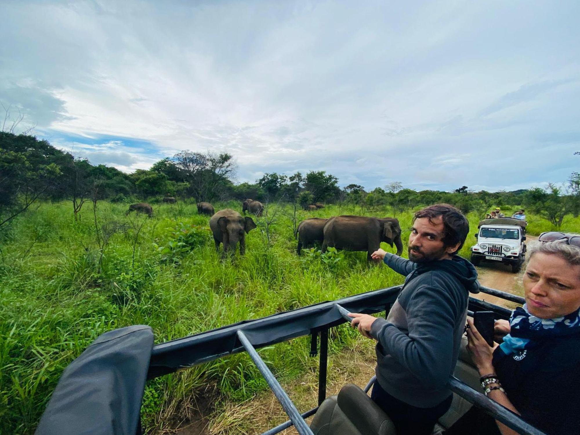 Minneriya Jeep Safari Habarana Ngoại thất bức ảnh